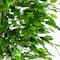 6.5ft. UV Resistant Artificial Ficus Tree (Indoor/Outdoor)